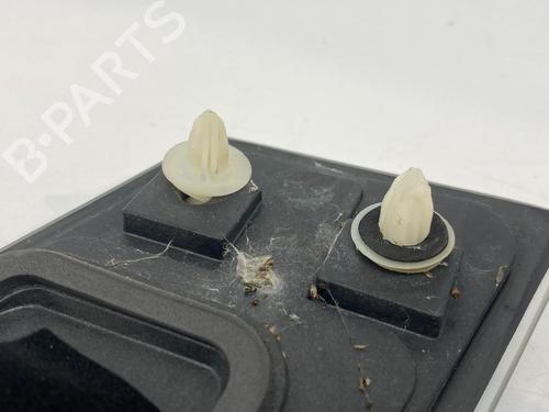 Kamera TESLA MODEL S (5YJS) 75D AWD | BP29690579E14