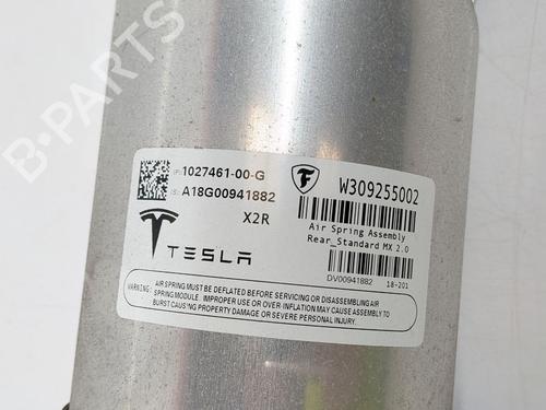 Inne TESLA MODEL S (5YJS) 85 | BP29693724O1