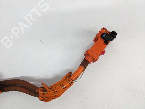 Cable TESLA MODEL 3 (5YJ3) EV AWD | BP29694314E12