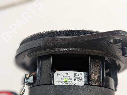 Luidspreker BYD SEAL EV AWD | BP30165027E2
