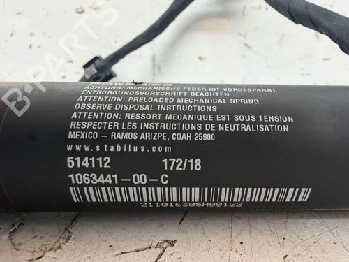 Andre TESLA MODEL X (5YJX) P90D AWD | BP33731445O1  - Image 10