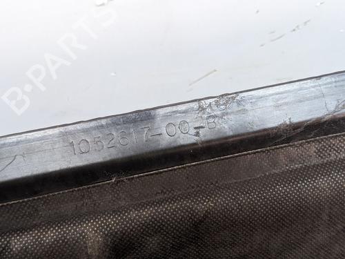 Ander TESLA MODEL S (5YJS) 85 | BP31031683O1 