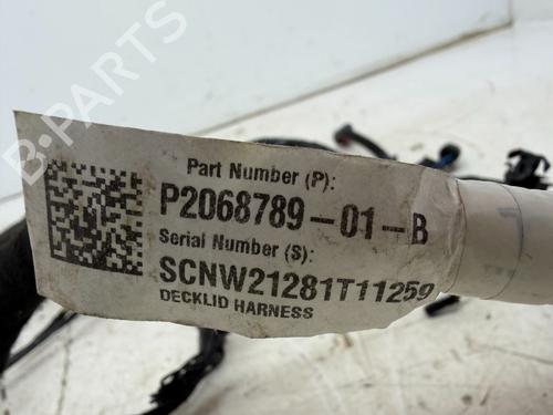 Wiring harness TESLA MODEL 3 (5YJ3) EV | BP30981833E16 