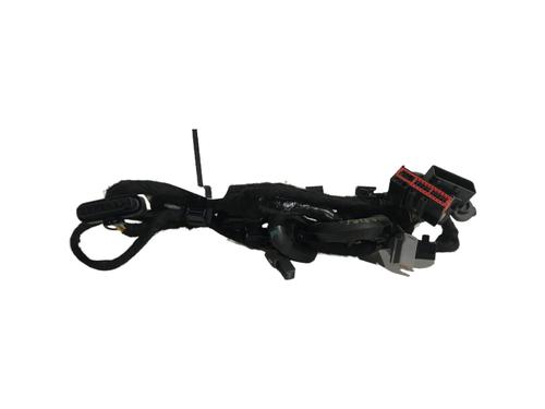 Ledningsnet POLESTAR POLESTAR 2 (534) EV (231 hp) 29689002