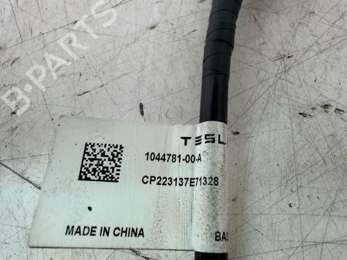 Andre TESLA MODEL 3 (5YJ3) EV AWD | BP31576850O1