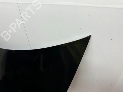 Capot TESLA MODEL 3 (5YJ3) EV | BP32129995C1 