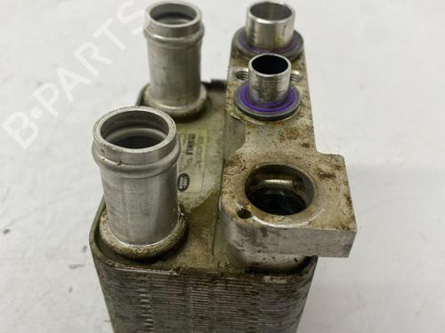 Water radiator JAGUAR I-PACE (X590) EV400 AWD | BP28699087M31