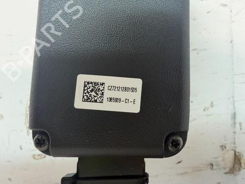 Engate do cinto TESLA MODEL 3 (5YJ3) EV | BP33731425I32  - Image 10