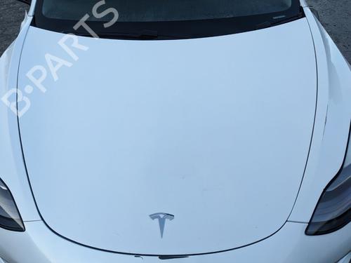 Panser TESLA MODEL 3 (5YJ3) EV AWD (351 hp) 30768467