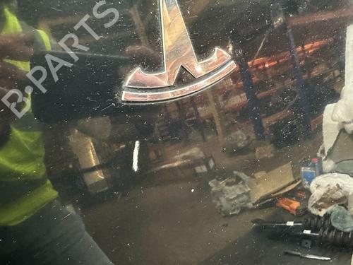 Capot TESLA MODEL 3 (5YJ3) EV | BP32129995C1 