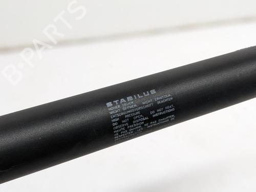 Inne TESLA MODEL S (5YJS) 85 | BP29693165O1