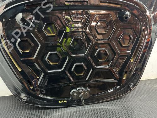 Capot TESLA MODEL 3 (5YJ3) EV | BP32129995C1 