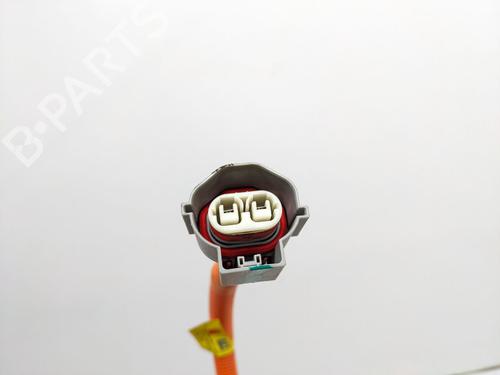 Kabel TESLA MODEL S (5YJS) 85 | BP29693196E12