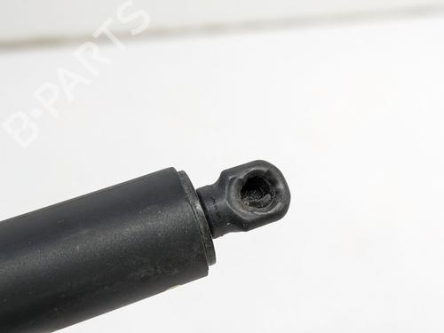 Inne TESLA MODEL S (5YJS) 85 | BP29693165O1