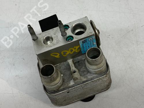 Køler PEUGEOT 2008 II (UD_, US_, UY_, UJ_, UR_, UC_) e-2008 (UKZKXZ) | BP29691499M31 