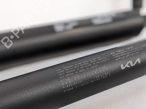 Pansergassdemper KIA NIRO II (SG2) EV | BP29693494C139 