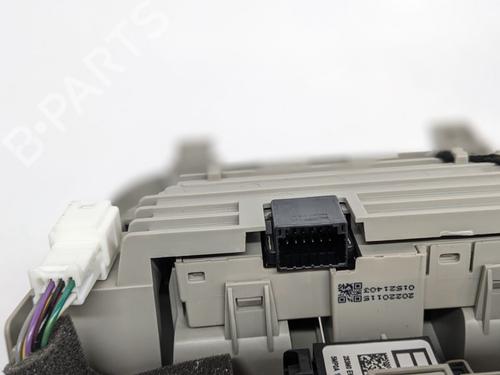 Luz interior NISSAN ARIYA (FE0) EV | BP29692549I8 