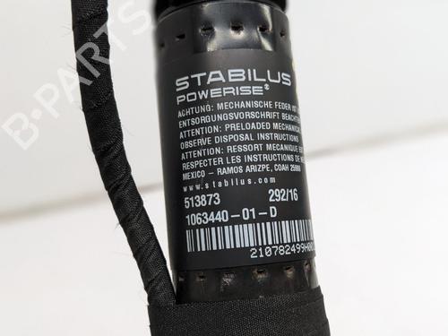 Inne TESLA MODEL S (5YJS) 85 | BP29693164O1