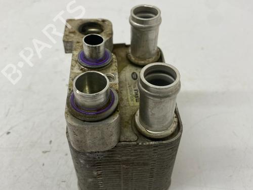 Water radiator JAGUAR I-PACE (X590) EV400 AWD | BP28699087M31