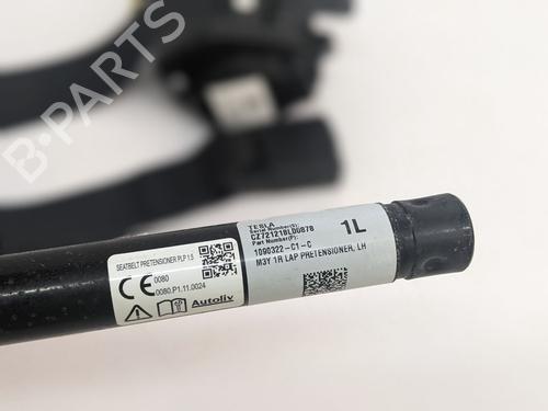 Engate do cinto TESLA MODEL 3 (5YJ3) EV | BP33445404I32  - Image 9