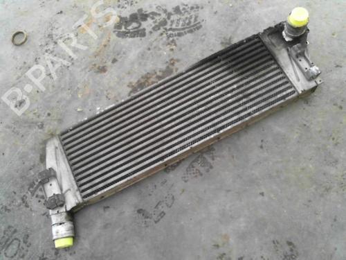 Used Intercooler RENAULT MEGANE II (BM0/1_, CM0/1_) 1.5 dCi (BM02, BM13, BM2A, CM02, CM13) (101 hp) 28755201