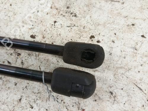 Hood lift support RENAULT SCÉNIC III (JZ0/1_) 1.5 dCi | BP28743133C139 