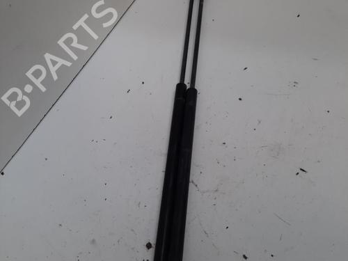 Used Tailgate lift support FORD C-MAX (DM2) 2.0 TDCi (136 hp) 28769612