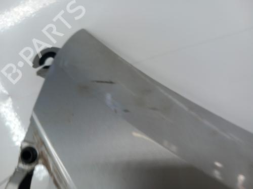 Forkjerm høyre RENAULT CLIO III (BR0/1, CR0/1) 1.5 dCi (C/BR0G, C/BR1G) | BP28756798C42