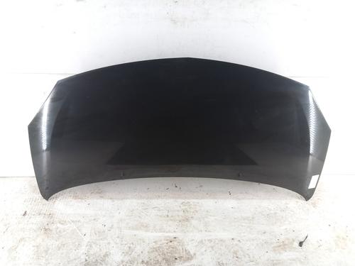 Used Hood RENAULT TWINGO II (CN0_) 1.2 16V (CN04, CN0B) (75 hp) 28780719