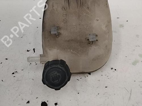 Used Expansion tank RENAULT TWINGO II (CN0_) 1.5 dCi (CN0E) (64 hp) 28758404