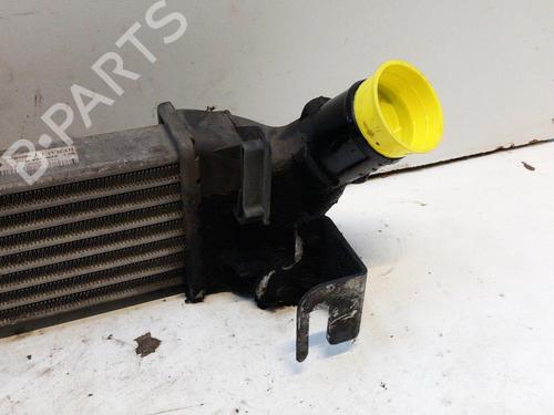 Intercooler DACIA LOGAN MCV (KS_) 1.5 dCi (KS0W) | BP28794059M30 - Image 4