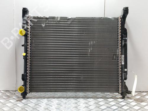 Used Water radiator Water radiator RENAULT KANGOO / GRAND KANGOO II (KW0/1_) 1.5 dCi 90 (KW05, KW08, KW0G, KW11) (90 hp) 28762051 28762051