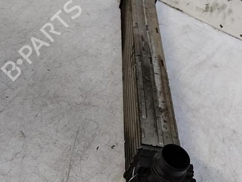 Used Intercooler RENAULT GRAND SCÉNIC III (JZ0/1_) 1.9 dCi (JZ0J, JZ0N, JZ1K, JZ1S) (131 hp) 28789637