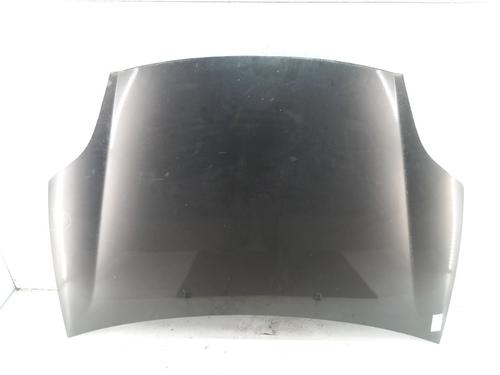 Used Hood FIAT BRAVO II (198_) 1.6 D Multijet (198AXL1B) (120 hp) 28738295