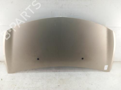 Used Hood RENAULT CLIO III (BR0/1, CR0/1) 1.5 dCi (BR17, CR17) (86 hp) 28743848