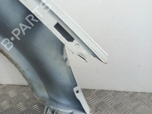 Left front fenders RENAULT CLIO III (BR0/1, CR0/1) 1.5 dCi (C/BR0G, C/BR1G) | BP29598147C41 