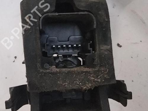 Lampeholder RENAULT SCÉNIC II (JM0/1_) 1.9 dCi (JM0G, JM12, JM1G, JM2C) (120 hp) 28769681