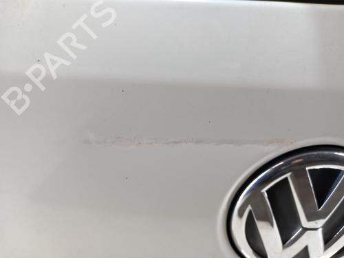 Used Tailgate Tailgate VW POLO V (6R1, 6C1) 1.6 TDI (90 hp) 28745221 28745221