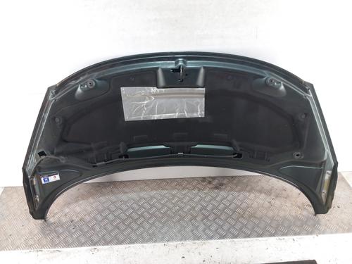 Used Hood Hood PEUGEOT 207 (WA_, WC_) 1.6 16V VTi (120 hp) 29186313 29186313