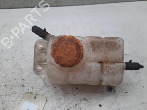 Used Expansion tank CHEVROLET AVEO / KALOS Hatchback (T250, T255) 1.2 LPG (84 hp) 28786833