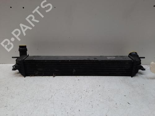 Used Intercooler Intercooler RENAULT LAGUNA III Grandtour (KT0/1) 2.0 dCi (KT01, KT08, KT09, KT0K, KT12, KT1D, KT1W) (150 hp) 28759264 28759264