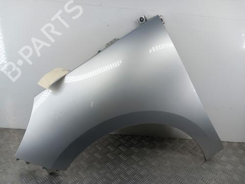 Left front fenders RENAULT SCÉNIC III (JZ0/1_) 1.5 dCi | BP29456498C41 