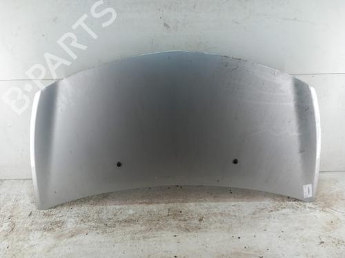 Used Hood RENAULT CLIO III (BR0/1, CR0/1) 1.2 16V (BR02, BR0J, BR11, CR02, CR0J, CR11) (75 hp) 28738063