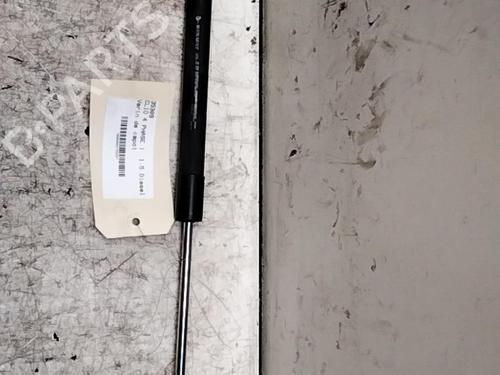 Hood lift support RENAULT CLIO IV (BH_) 1.5 dCi 75 | BP28786178C139 