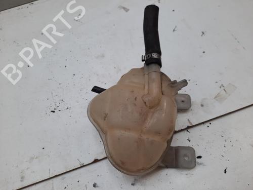 Used Expansion tank FIAT GRANDE PUNTO (199_) 1.3 D Multijet (75 hp) 28786962