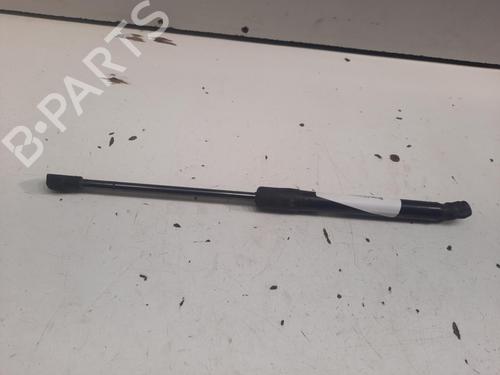 Used Hood lift support VW CADDY III Box Body/MPV (2KA, 2KH, 2CA, 2CH) 1.6 TDI (102 hp) 28764507