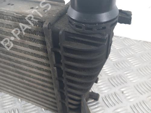 Intercooler RENAULT CLIO III (BR0/1, CR0/1) 1.5 dCi (C/BR0G, C/BR1G) | BP30083210M30 - Image 2