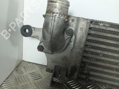 Used Intercooler NISSAN QASHQAI I (J10, NJ10) 1.5 dCi (106 hp) 28768684