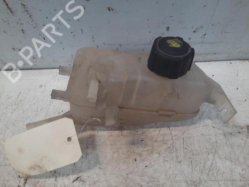 Used Expansion tank RENAULT MEGANE III Hatchback (BZ0/1_, B3_) 1.5 dCi (BZ09, BZ0D, BZ1W, BZ29, BZ14) (110 hp) 28787227