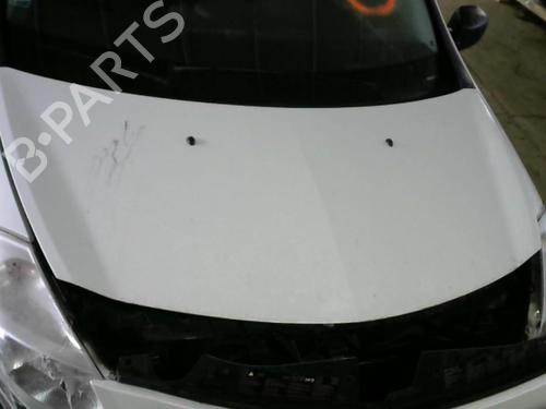 Used Hood RENAULT CLIO III (BR0/1, CR0/1) 1.5 dCi (C/BR0G, C/BR1G) (68 hp) 28755310